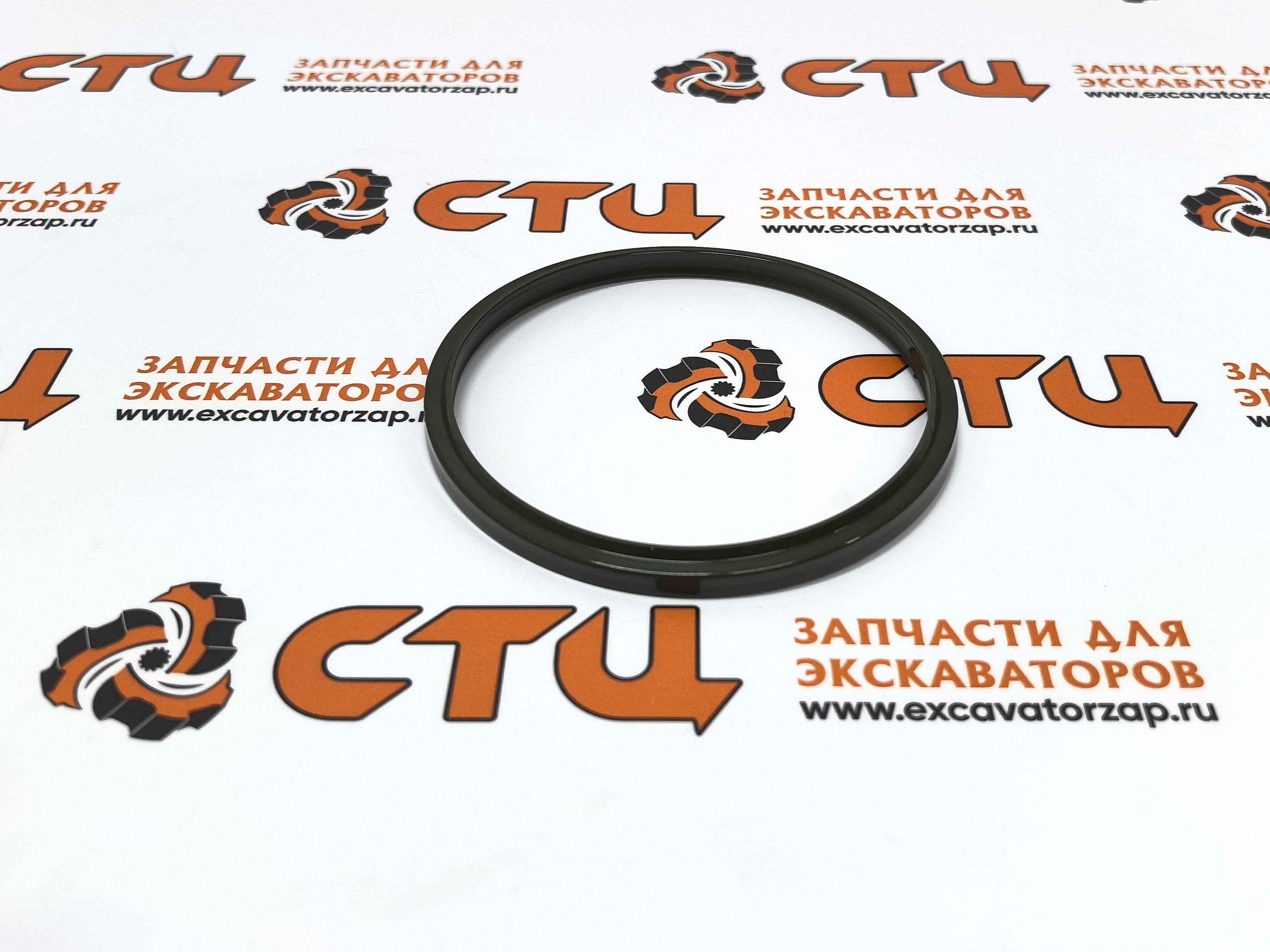 Грязесъемник NOK LBI 100х110х6, 100-110-6 U593